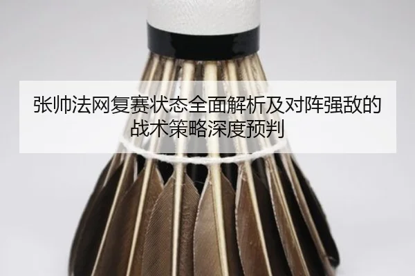 张帅法网复赛状态全面解析及对阵强敌的战术策略深度预判